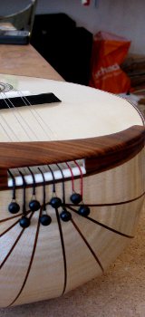 mandoline detail